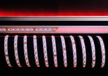 5050-60-24V-RGB+3000K-5m 