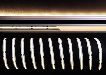 COB-24V-3000K-5m 