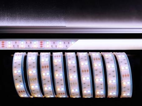 5050-2x30-12V-3000K-7000K-3m 