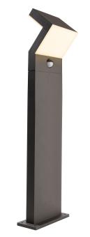 Taygeta 1000 Motion 