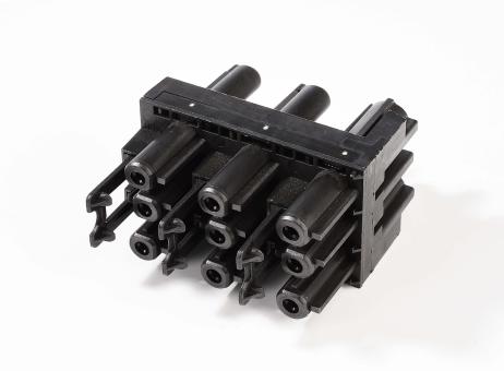 Wieland GST18i3 Verteilerblock, 1 Eingang, 5 Ausgänge 