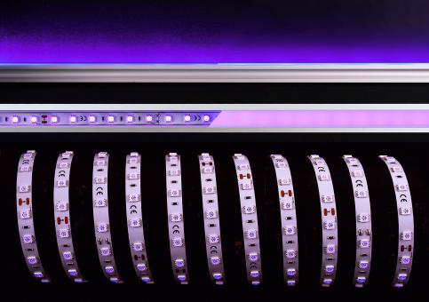 5050-60-24V-violett-5m 