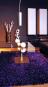 morepic-2